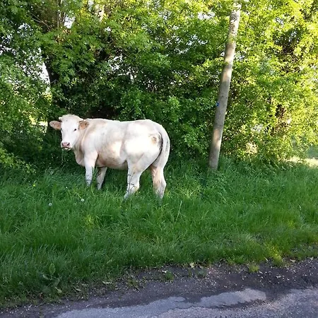 -parking Prive -maison Entiere -balancoire En Interieur-coeur Historique -la Clef De 펜션 옹플뢰르