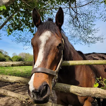 -maison Entière -balancoire En Intérieur-parking Privé -coeur Historique -la Clef De Hébergement de vacances