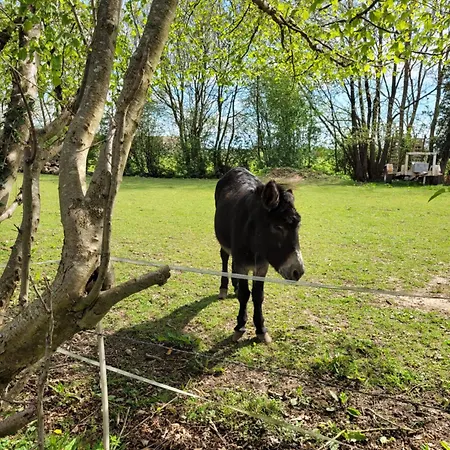 -maison Entière -balancoire En Intérieur-parking Privé -coeur Historique -la Clef De * Honfleur