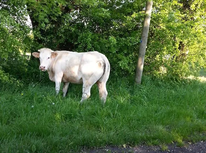 -parking Prive -maison Entiere -balancoire En Interieur-coeur Historique -la Clef De Semesterbostad Honfleur